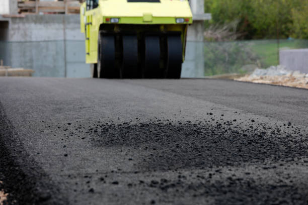 Best Driveway Paving Contractor  in Webberville, MI