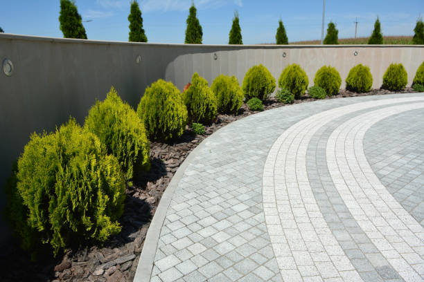 Best Decorative Driveway Pavers  in Webberville, MI